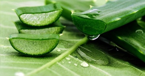 acne scars remedy