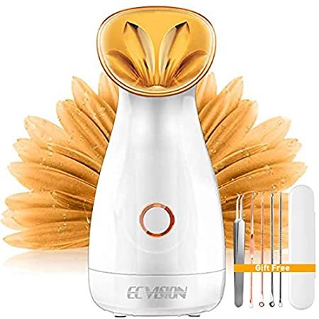 ECVISION Nano Ionic Warm Mist Facial Steamer